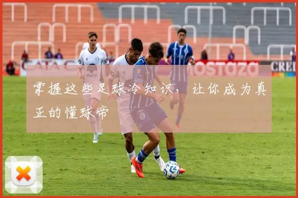 掌握这些足球冷知识,让你成为真正的懂球帝